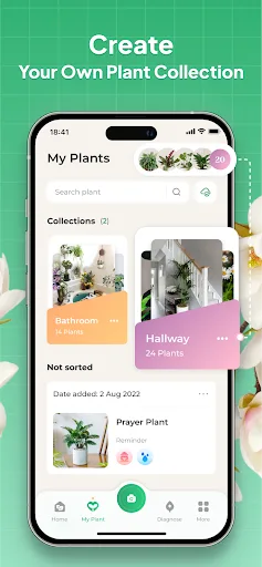 Plant Identifier: LeafSnap screenshot 2