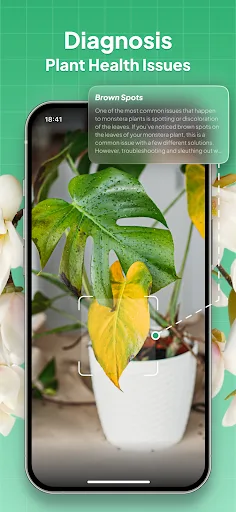 Plant Identifier: LeafSnap screenshot 3