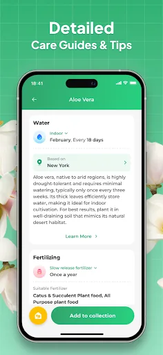 Plant Identifier: LeafSnap screenshot 4