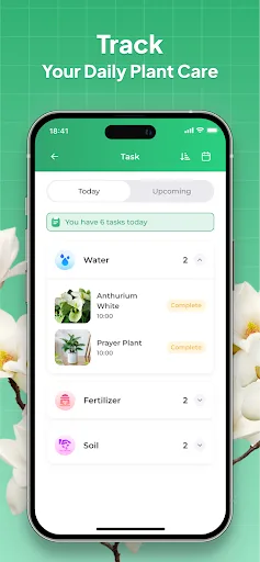 Plant Identifier: LeafSnap screenshot 5