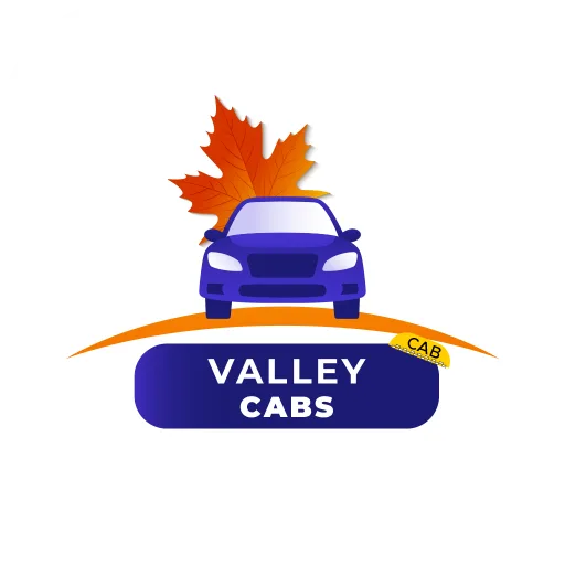 Valley Cabs: Autos Taxi & Bike