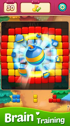 BlocKing Puzzle screenshot 4