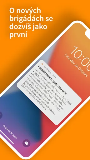 Fajn brigády screenshot 4