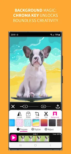 Toonita Video: Cartoon Effects screenshot 4