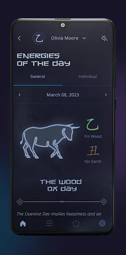 Bazi Astrology: Tsi Energy screenshot 5