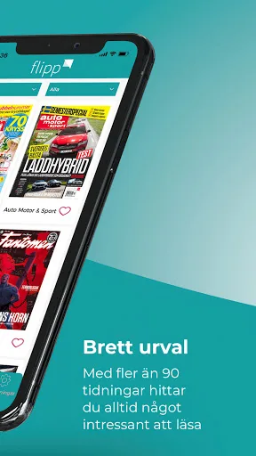 Flipp Sverige screenshot 2