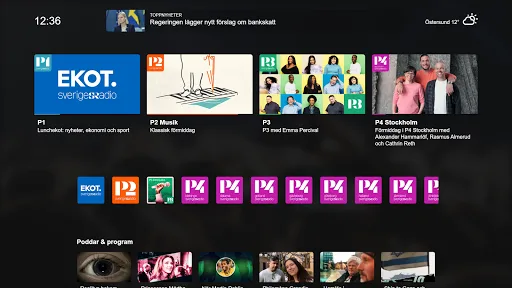 Sveriges Radio screenshot 4