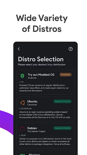 Andronix - Linux on Android screenshot 4