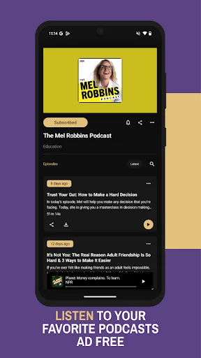 Capsule - Podcast & Radio App screenshot 4