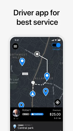 TA Driver Alpha™ Taxi screenshot 1