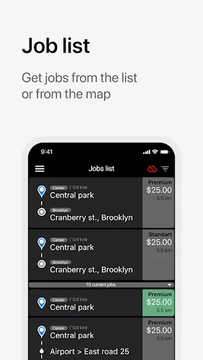 TA Driver Alpha™ Taxi screenshot 2