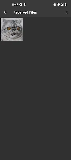 Bluetooth Chatter screenshot 5