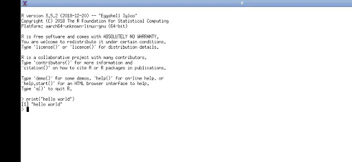 R screenshot 1