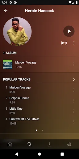 Plexamp screenshot 2