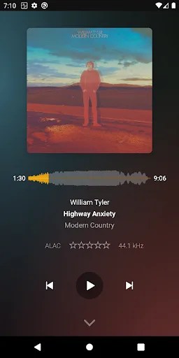 Plexamp screenshot 3