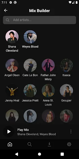 Plexamp screenshot 4