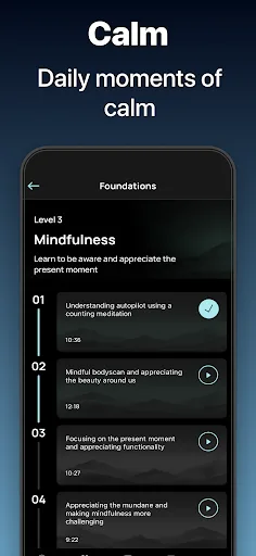 Serenity: Guided Meditation screenshot 2