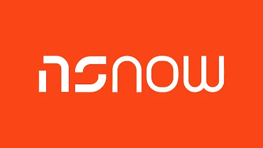 NSNOW screenshot 1