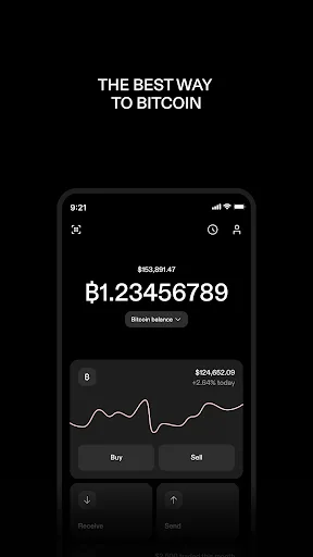 STRIKE: BUY & HOLD BITCOIN screenshot 1