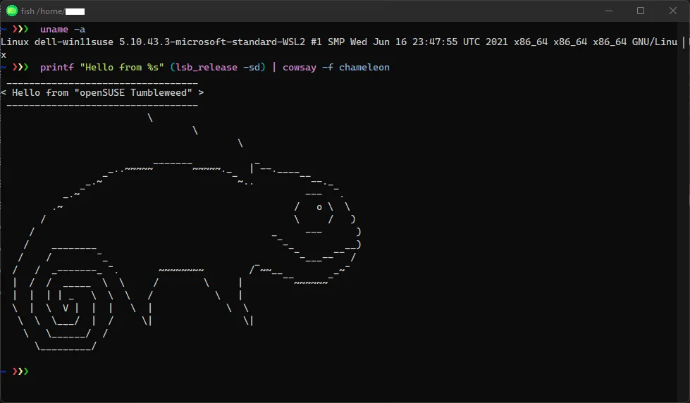 openSUSE Tumbleweed screenshot 1