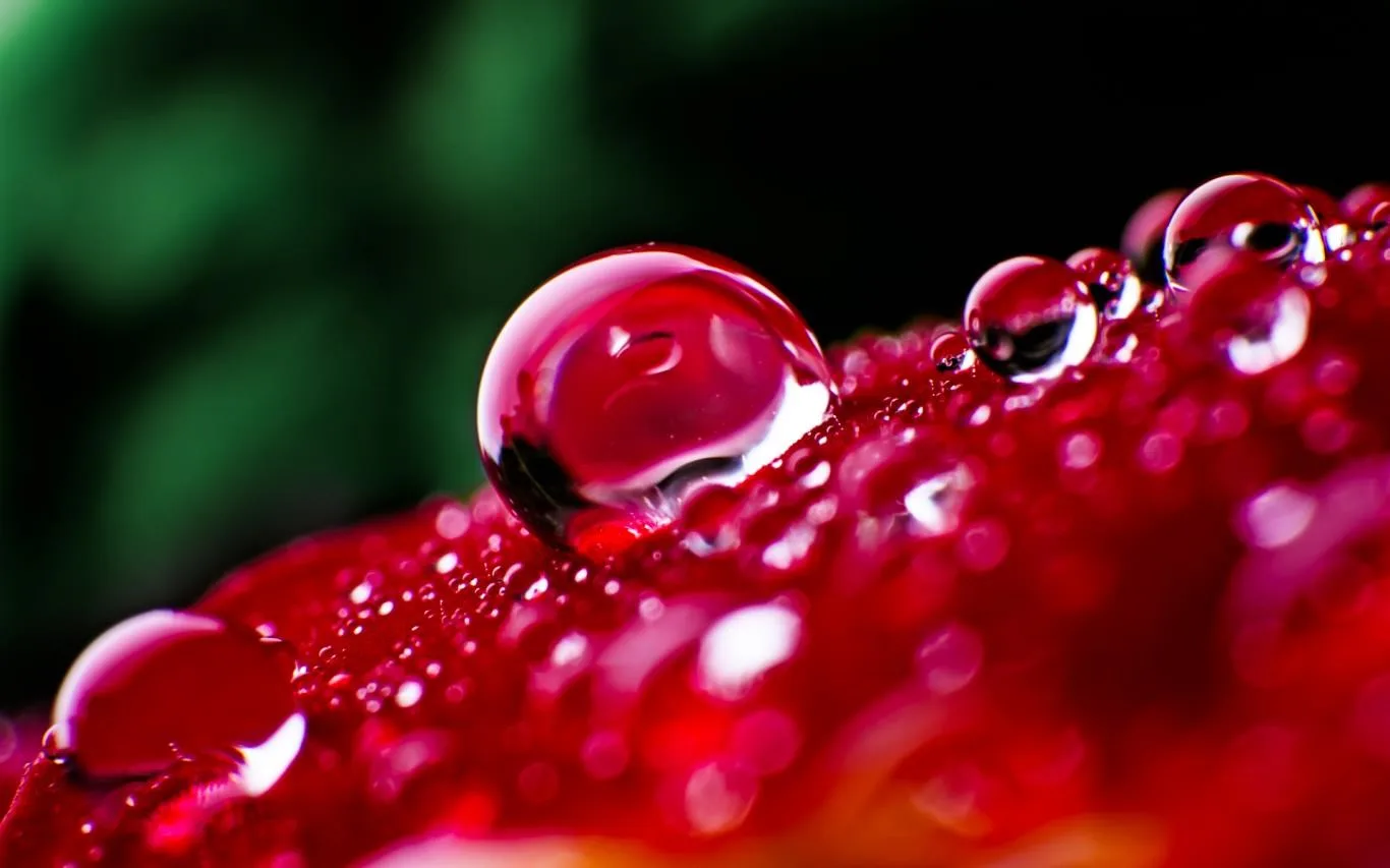 Waterdrops by JP Peter screenshot 1