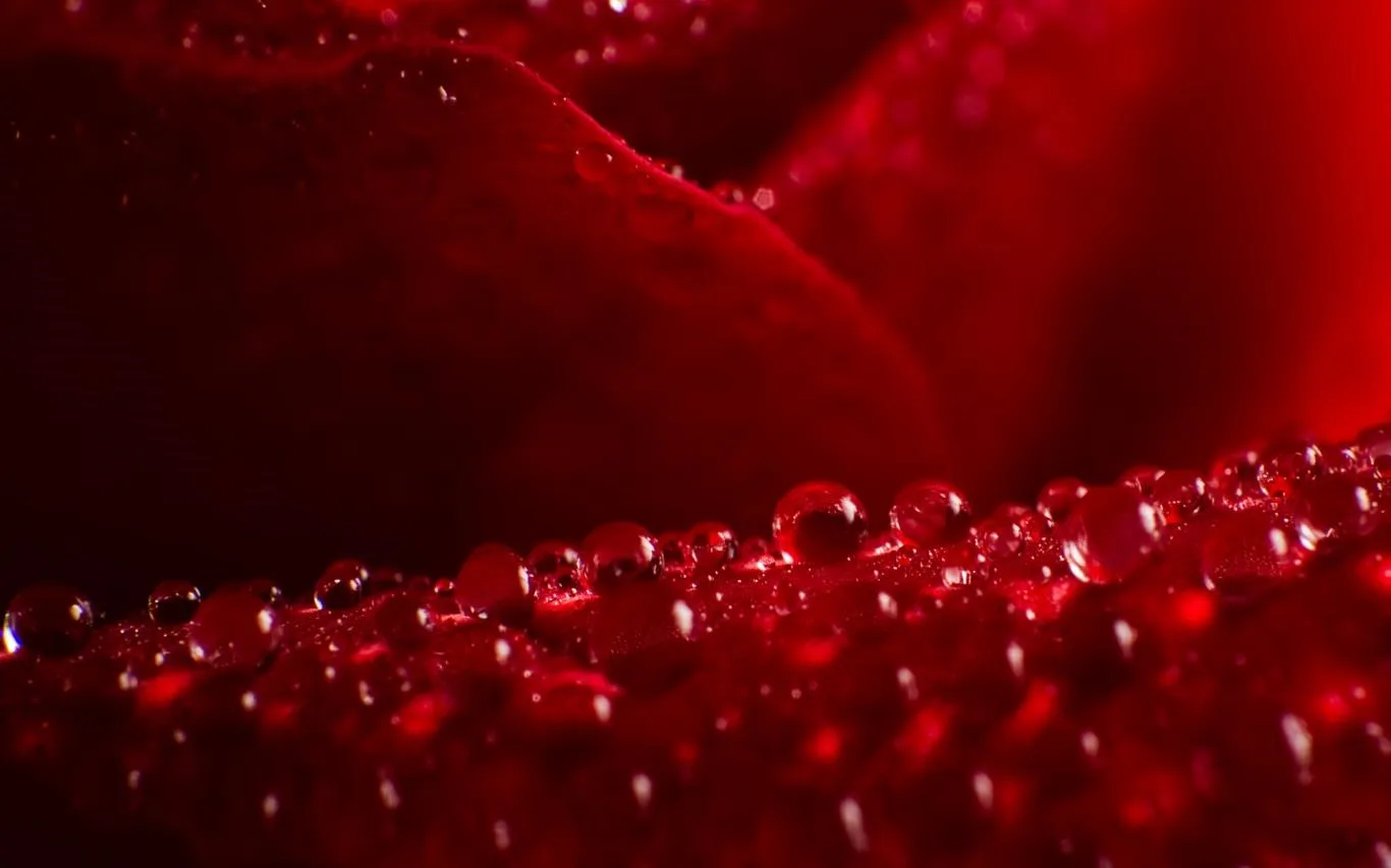 Waterdrops by JP Peter screenshot 3