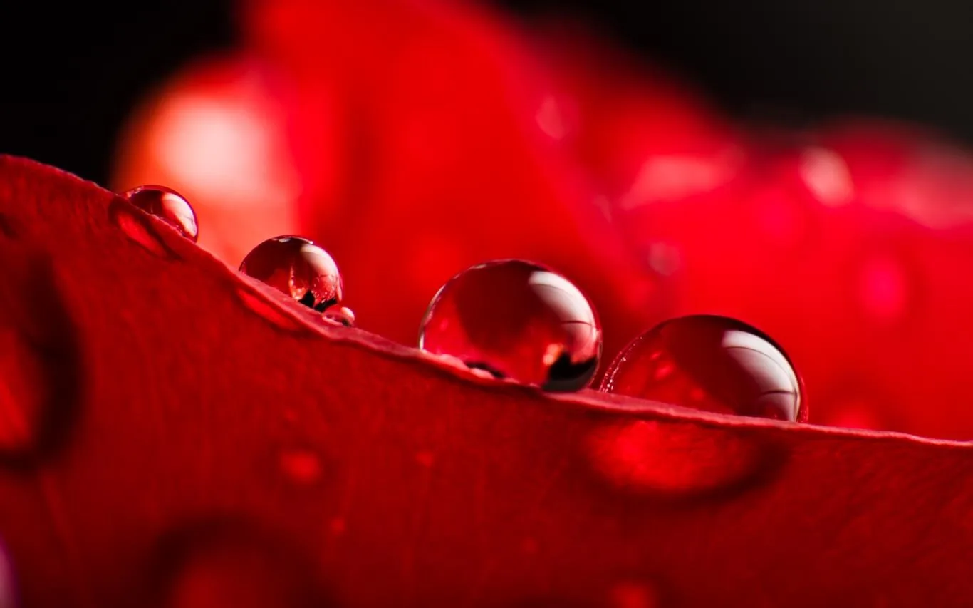 Waterdrops by JP Peter screenshot 4