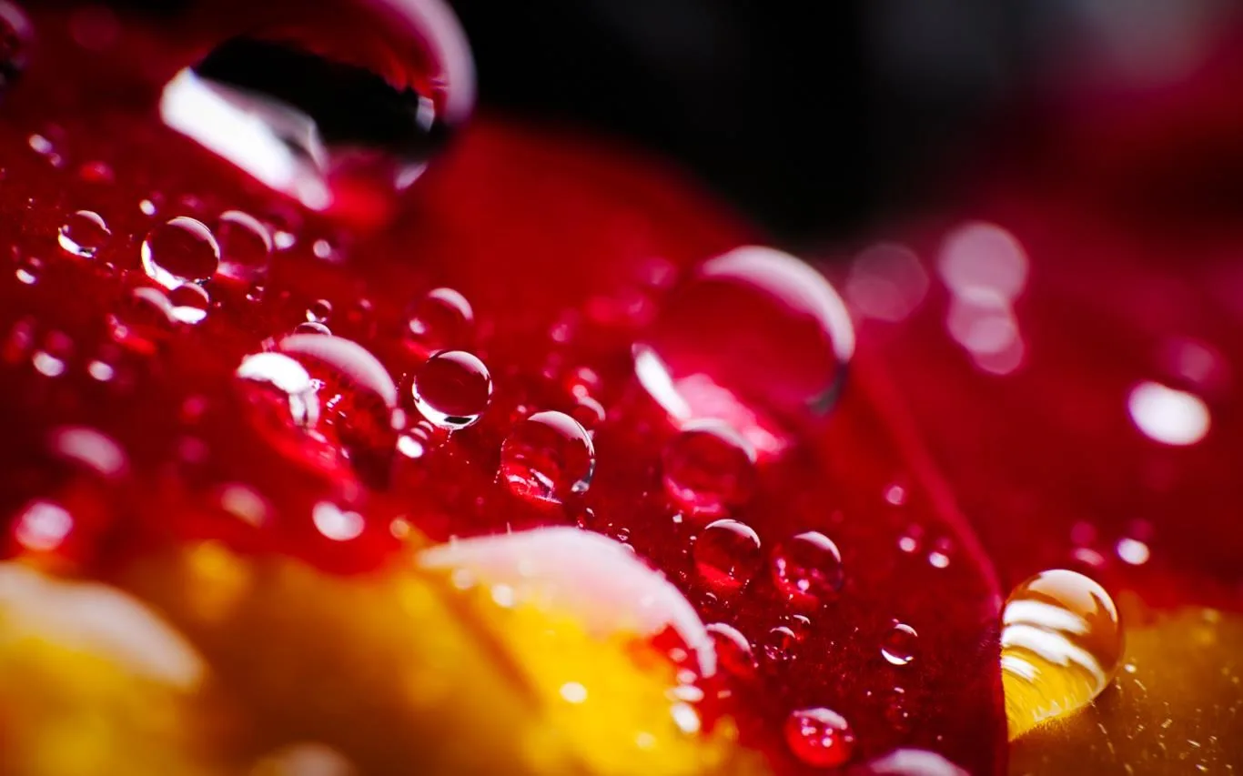 Waterdrops by JP Peter screenshot 5