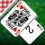 Canasta Palace