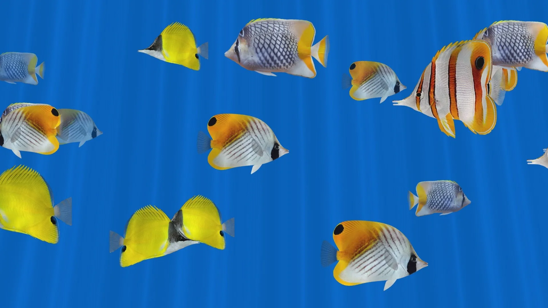 Butterfly Fish Aquarium - 3D Fish Reef Tank screenshot 3