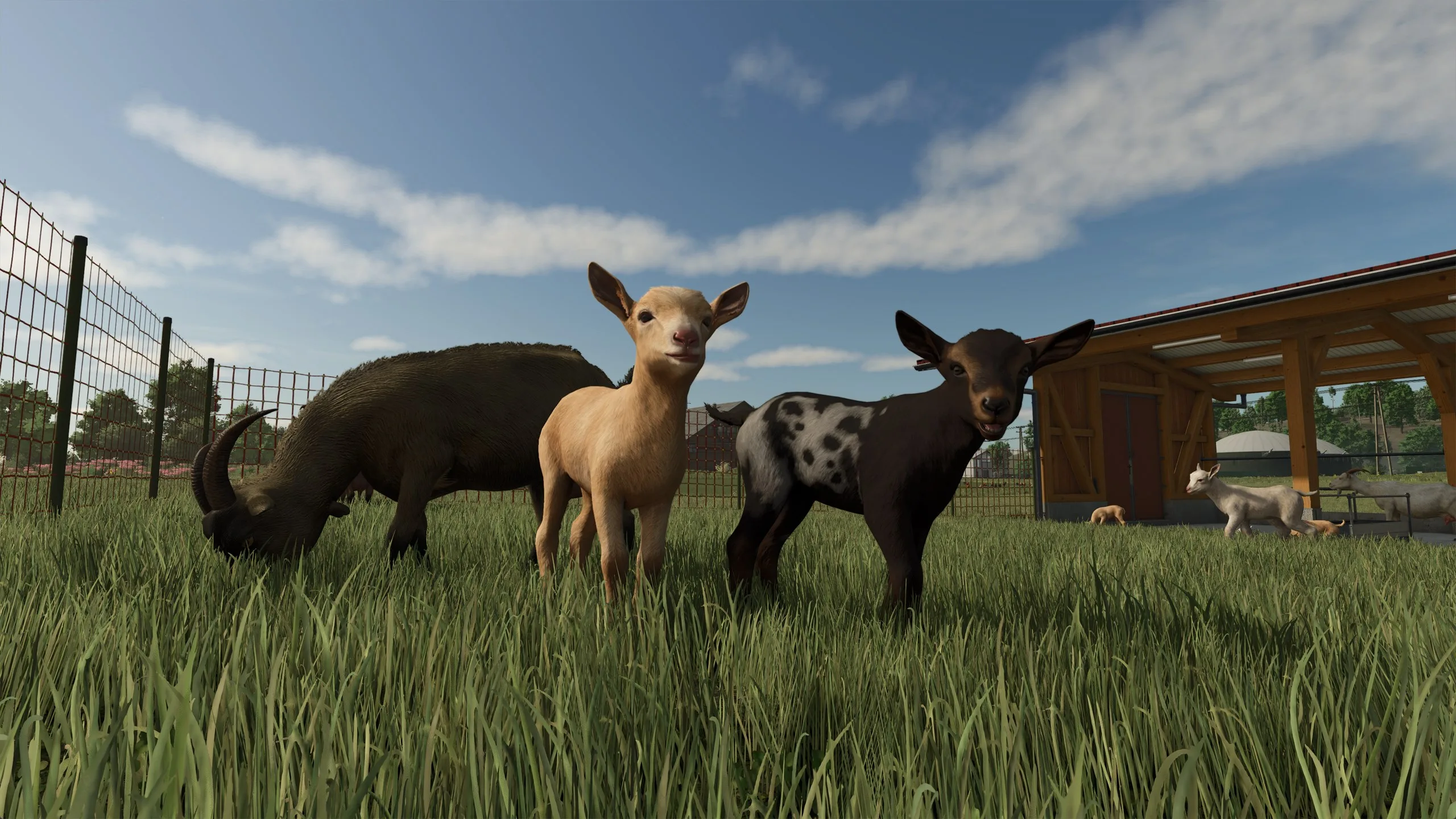 Farming Simulator 25: Year 1 Bundle (PC) screenshot 4