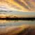 Amazon Landscapes