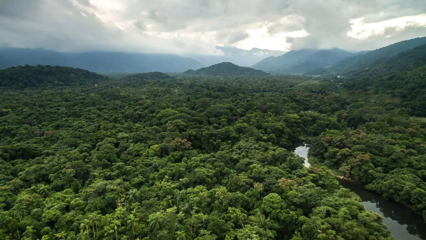 Amazon Landscapes screenshot 1