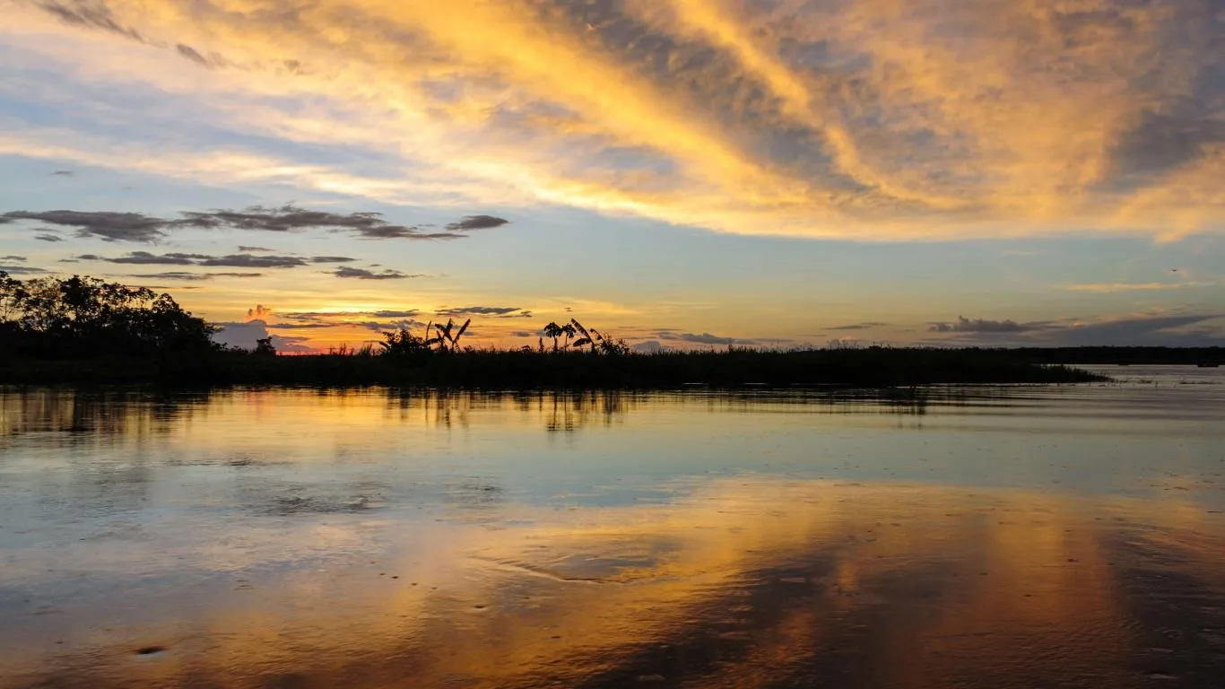Amazon Landscapes screenshot 2
