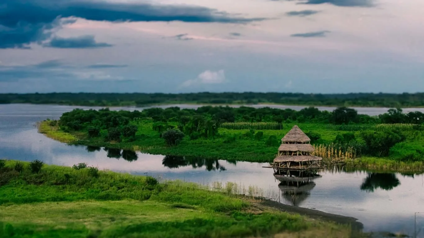 Amazon Landscapes screenshot 4
