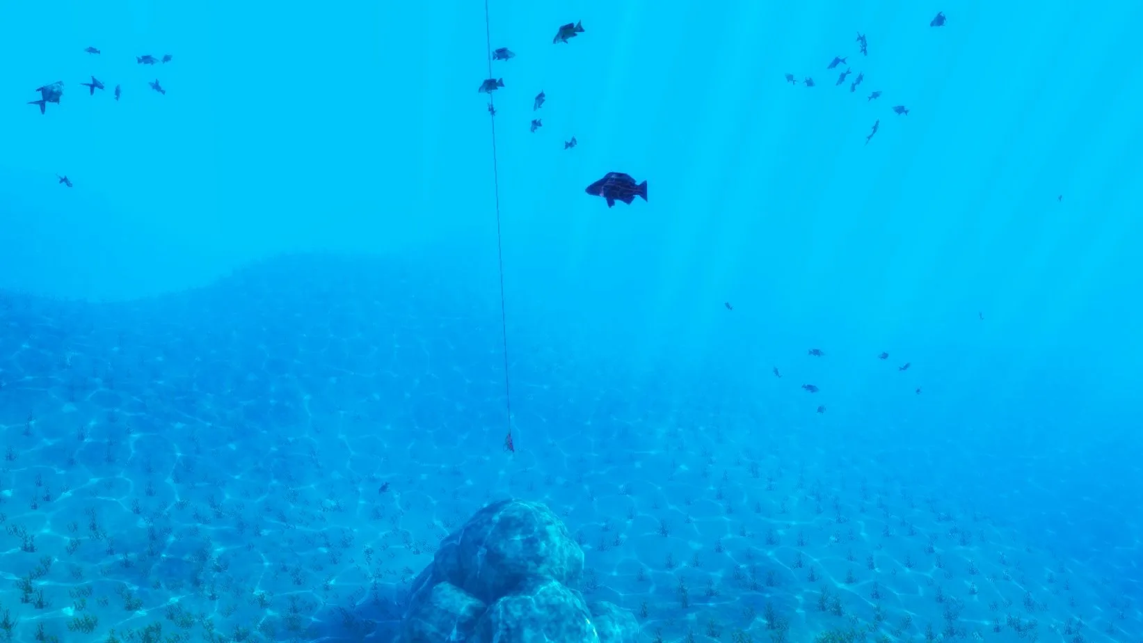 The Fishing Club 3D: Multiplayer Sport Angling screenshot 1
