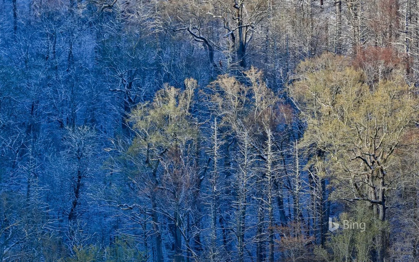 Bing US National Parks screenshot 3