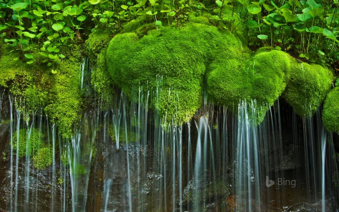 Bing US National Parks screenshot 4