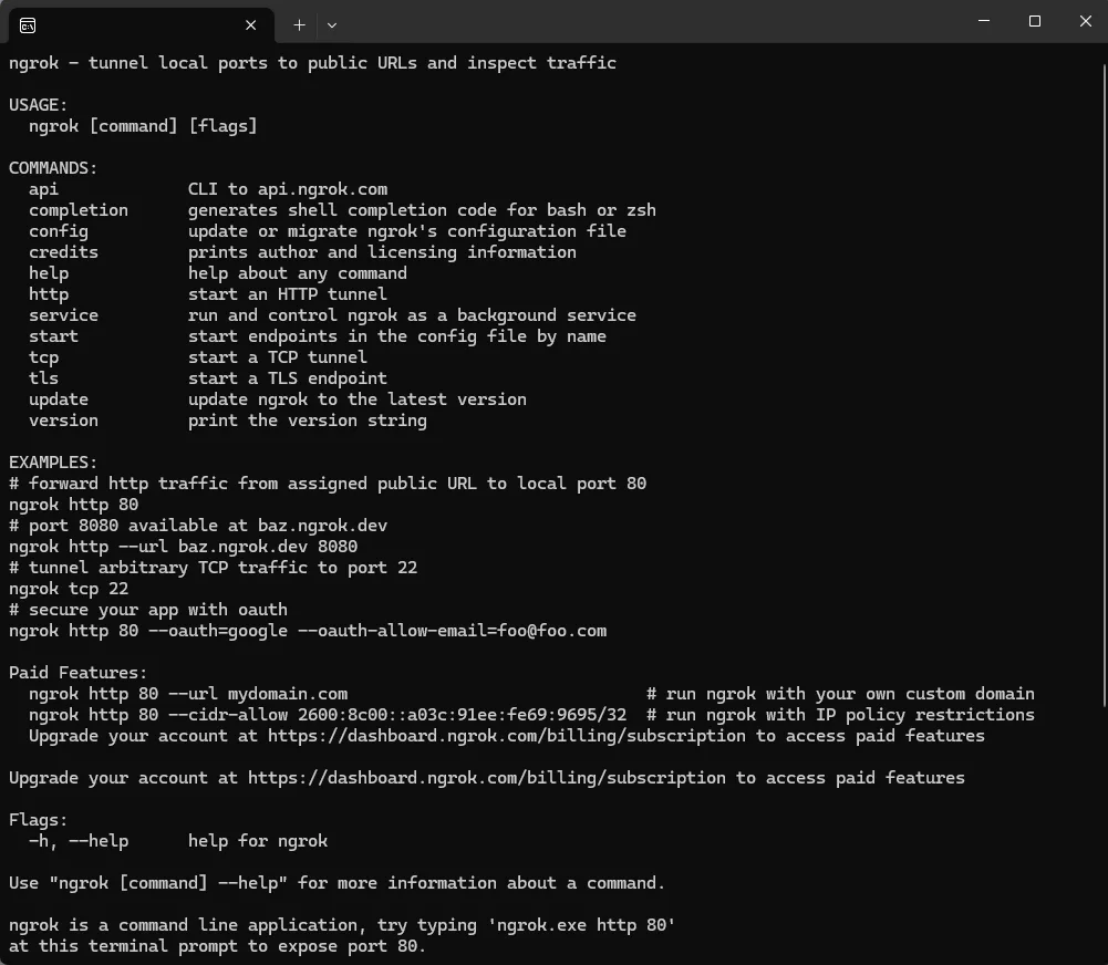 ngrok screenshot 2