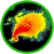 RadarScope