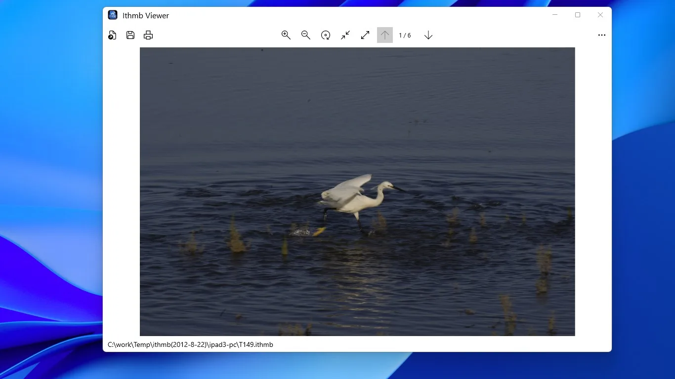 Ithmb Viewer screenshot 2