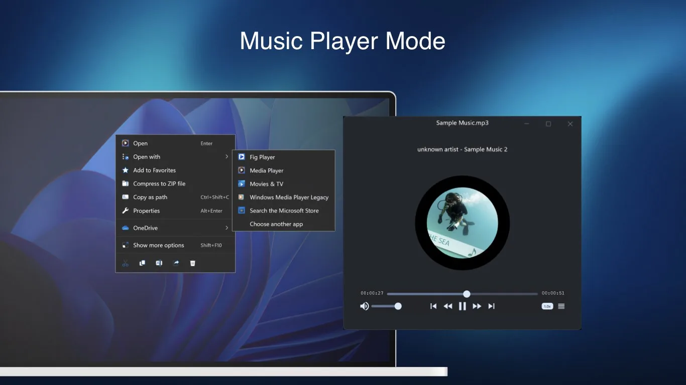 Fig Player screenshot 2