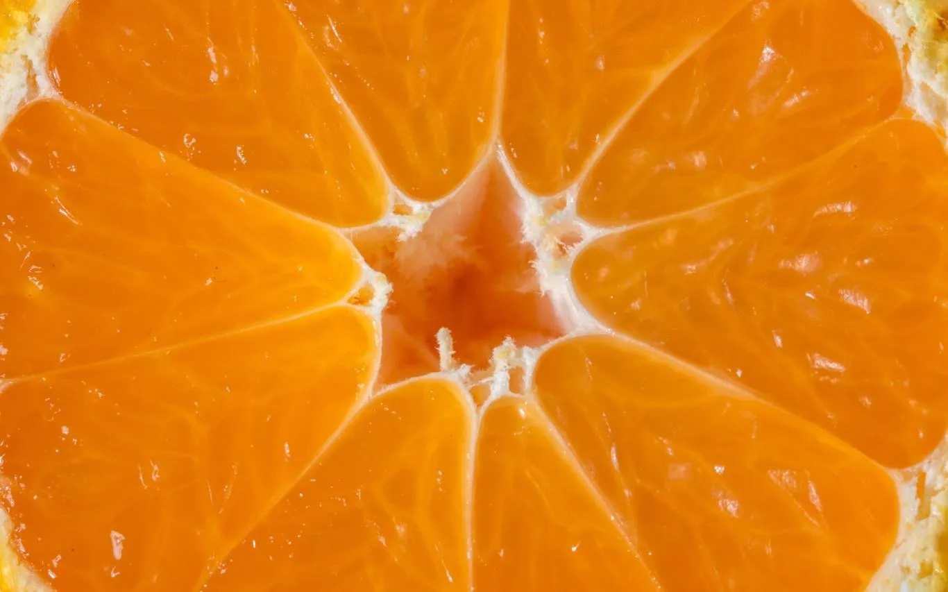 Rhymes with Orange screenshot 4