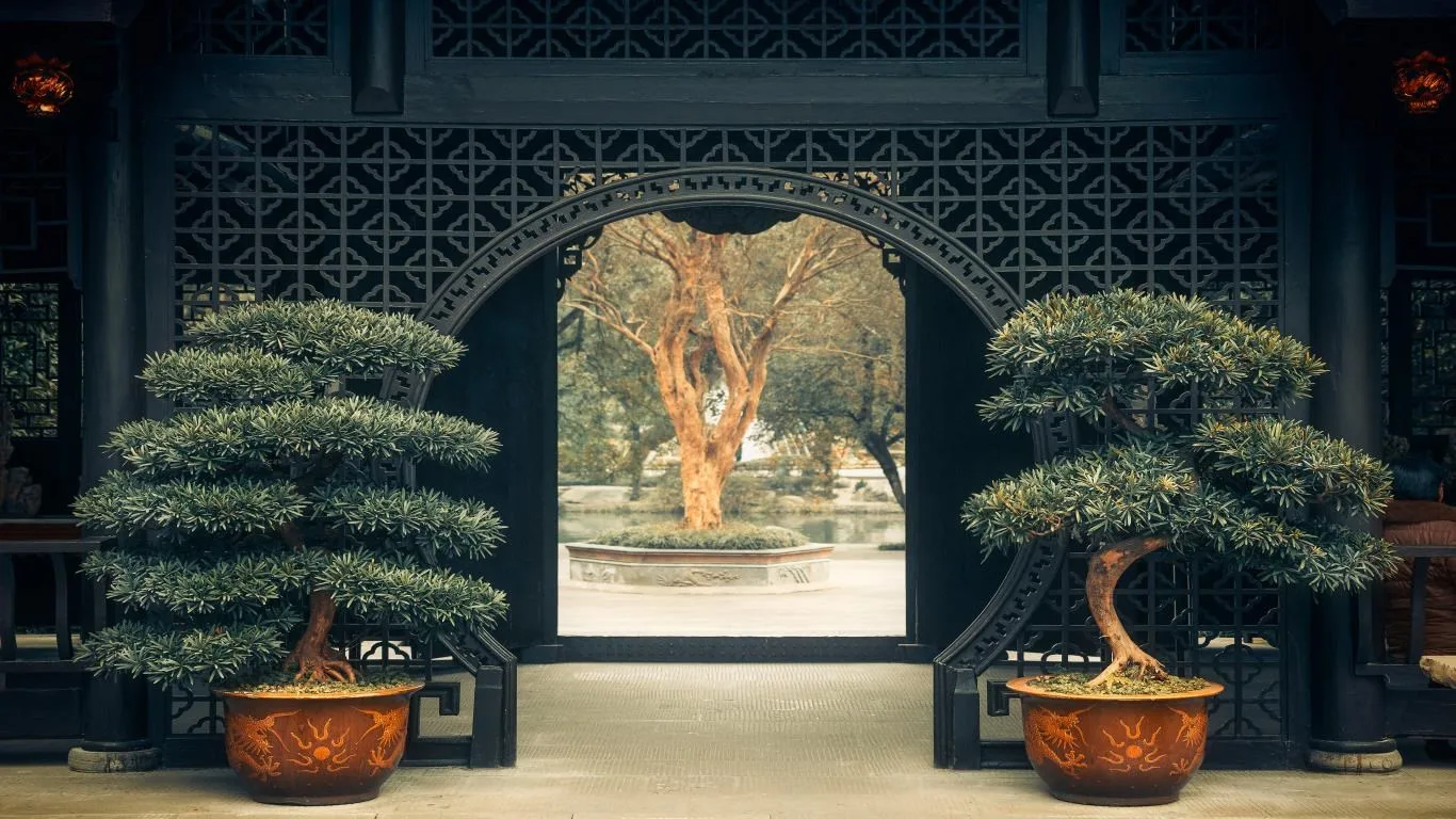 Beauty of China screenshot 1