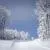 Ski Paradise