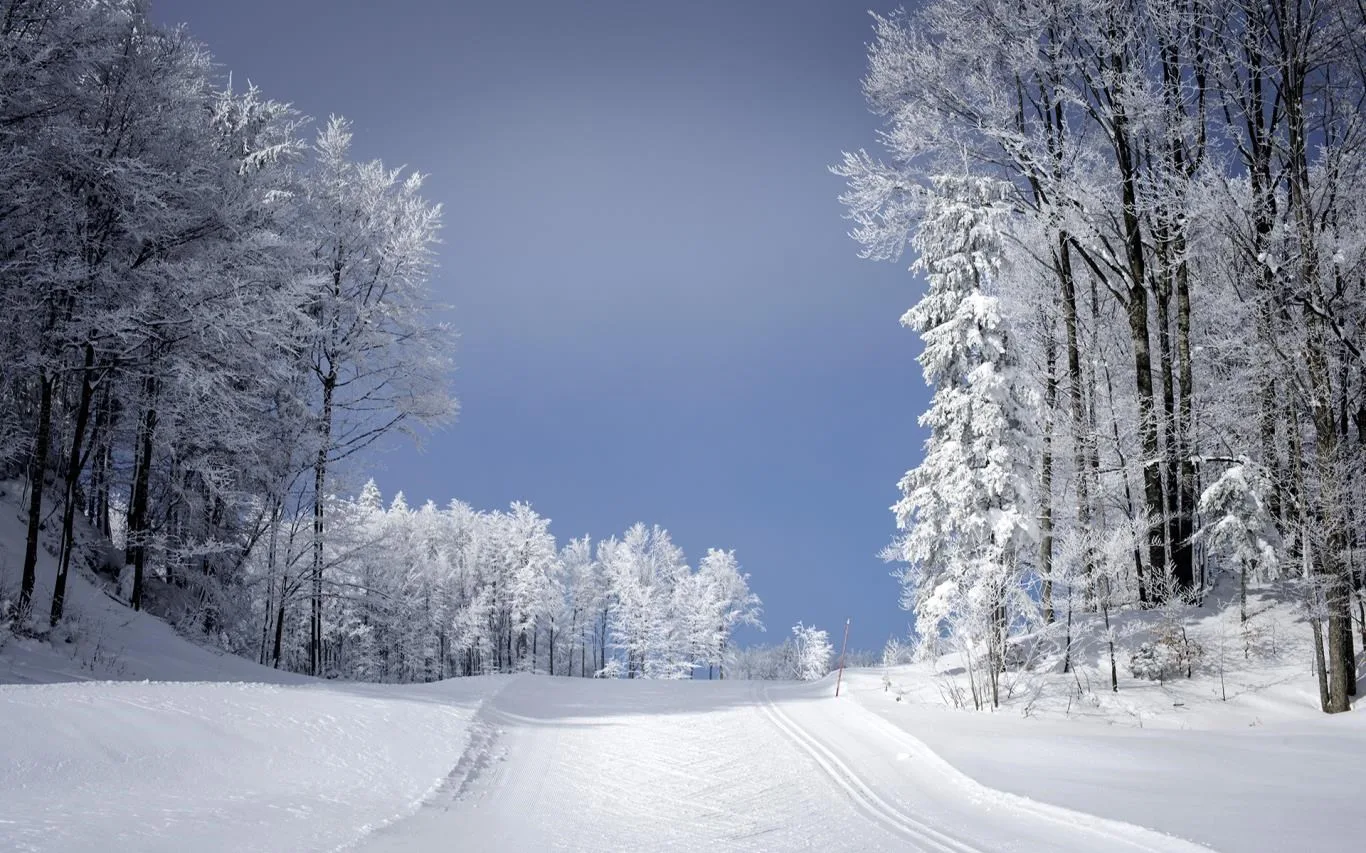Ski Paradise screenshot 4