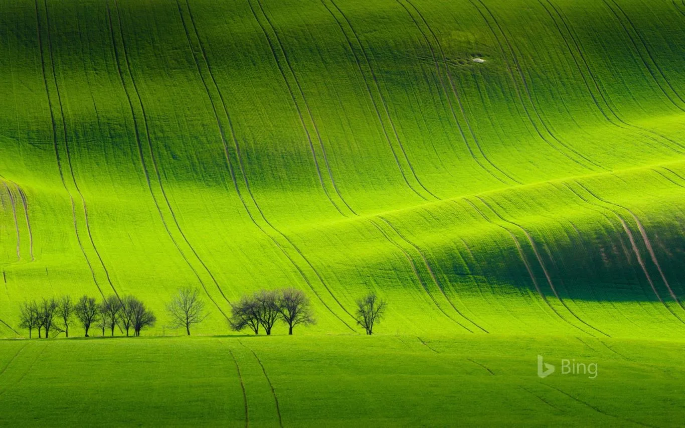 Bing Sunshine screenshot 4