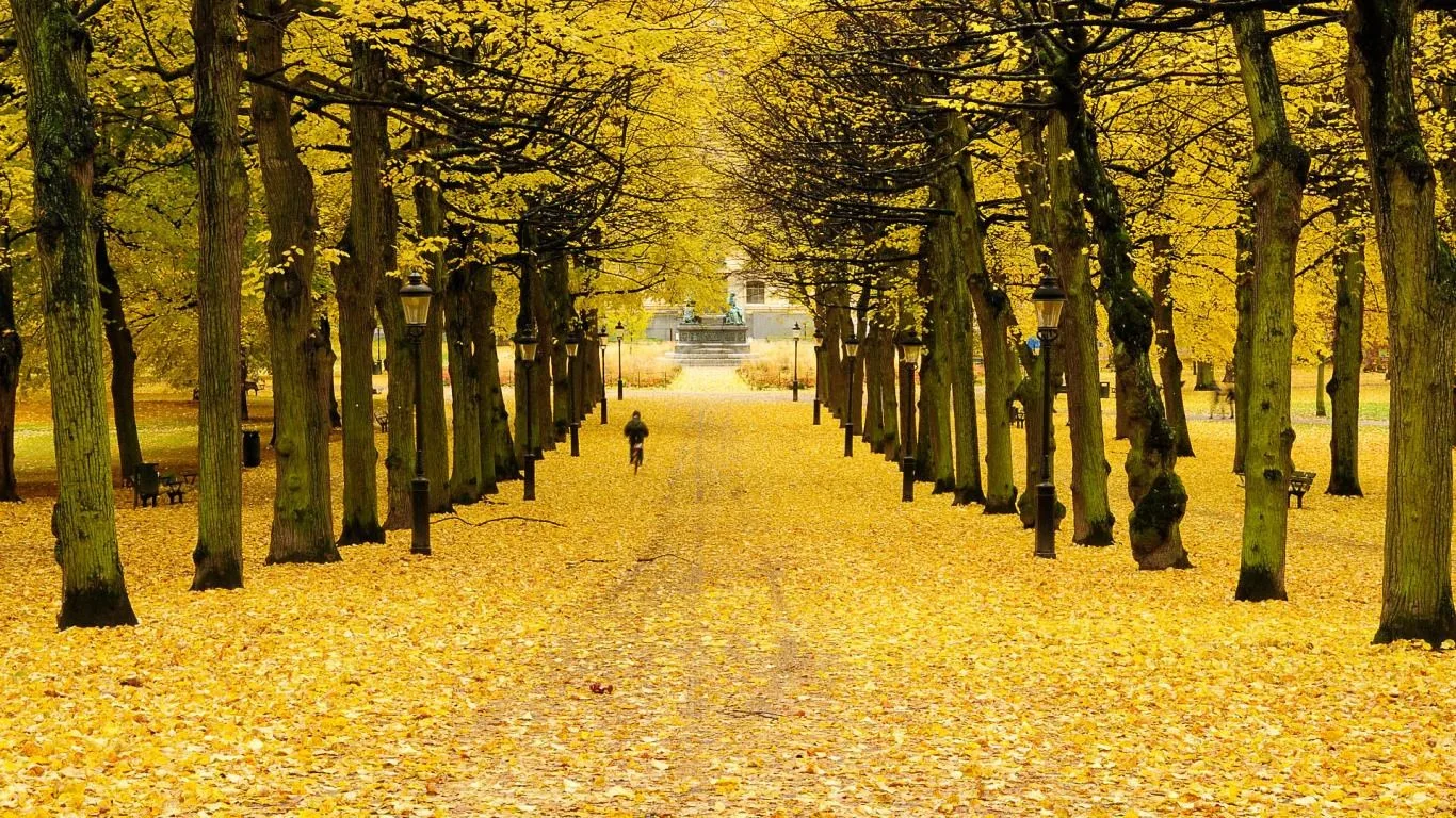 Autumn in Sweden screenshot 2