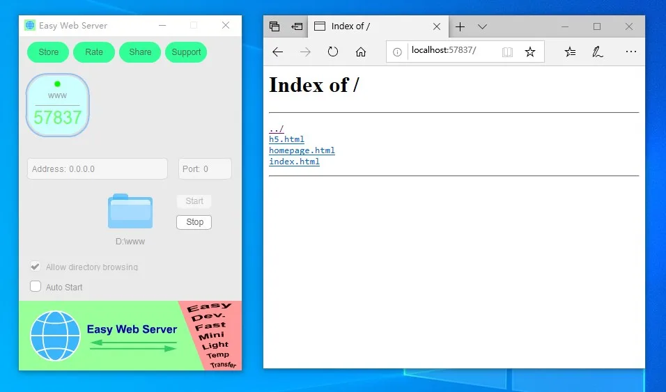 Easy Web Server screenshot 1