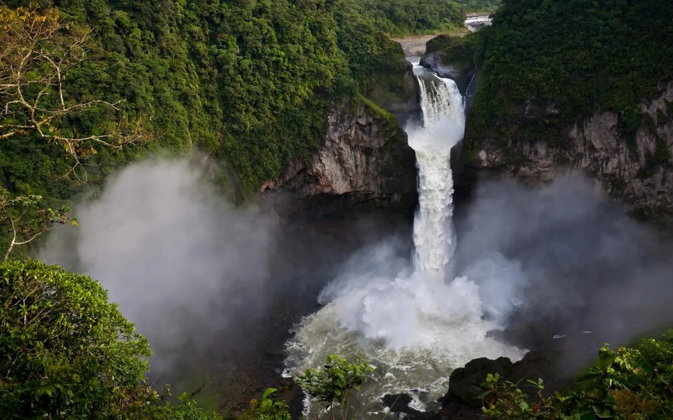 Amazon Rainforest screenshot 1